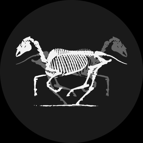 thrifthorse